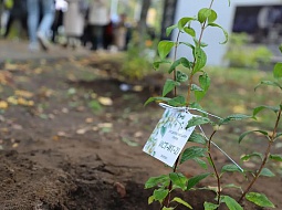 ������������� �������� � ������������ ����� �� �������