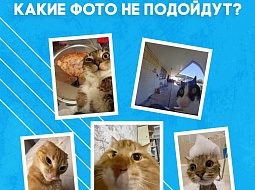 ���� �������������� ��� � ���������������!