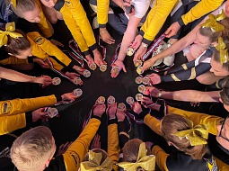 ������� ������� ���������������� ������������ � ������� ������ �� ���������� ����� ������������ ������