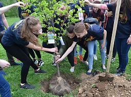 ��������������� ����������� �� ����� ���� �������