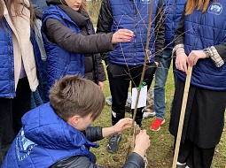 �������� ������������ ������� ������� � ������������� ����� ���� �������