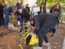 ������������� �������� � ������������ ���� ��������� ���