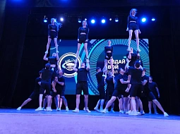 ������ ���� �������� ������ ���������������� ������������ ��. �.�. ������� � �������