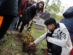 ������������� �������� � ������������ ����� �� �������