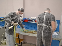 �������� ������������ ��������� WorldSkills Russia. ������� �������