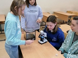 ��������� ������ �������� �� ������-������� � ���