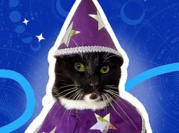 ������ �� ������������ �� ���������� � ������ ������ � ��� �� ������� � ������� ����������� ��������? 