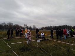 �������� ���������������� ������������ � ���������� ����� �� �������������� ������ 