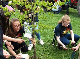 ��������������� ����������� �� ����� ���� �������