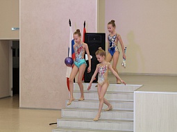 � ������������ ��������� ����� VI ��������� ������������� ���������� �������� �������������� (WorldSkills Russia)