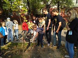 �������� �������� ���� �� ������� ����� ���������� �������