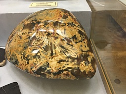 ������� ���������������� ������������ � ������� ����� ������������ ��������� �������� ���������� � ���