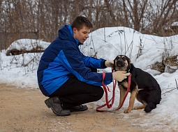 �������� ������������ �������� ����� ��� ��������