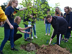 ��������������� ����������� �� ����� ���� �������