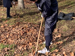 �������� ������������ ������������ ���������