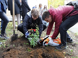 ������������� �������� � ������������ ����� �� �������