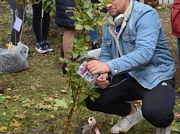 ������������� �������� � ������������ ���� ��������� ���