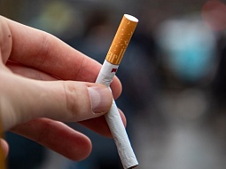 �������� �� �������