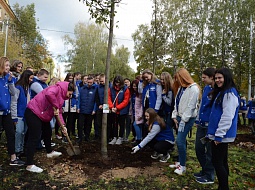 ����������� � �������� ������������� ����� ���� ���. ������ ��� ������