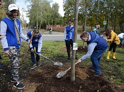 ����������� � �������� ������������� ����� ���� ���. ������ ��� ������