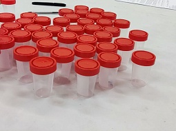 ����������� ������������