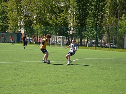 ���������� ���������, ����������� ������ �������-���������� �.�. �������