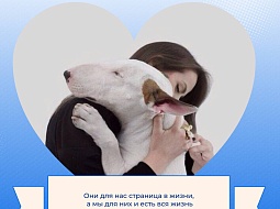 �� � ������ �� ���, ���� ��������� 