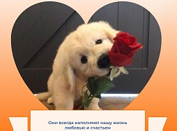 �� � ������ �� ���, ���� ��������� 