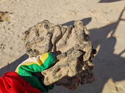 ������� �� ��������� ������������� ����������.