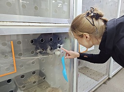 �������������� �������� � ����� ���������! 