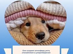 �� � ������ �� ���, ���� ��������� 