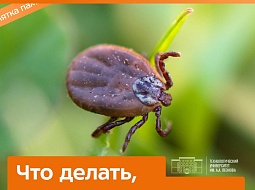 � �� ���� ����������� �� �������? ������ ���������!